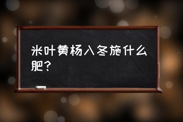 黄杨树用什么肥料最好 米叶黄杨入冬施什么肥？