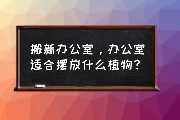 办公室适合摆放什么 搬新办公室，办公室适合摆放什么植物？