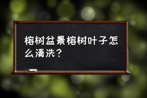 盆栽叶子灰尘怎么去除 榕树盆景榕树叶子怎么清洗？