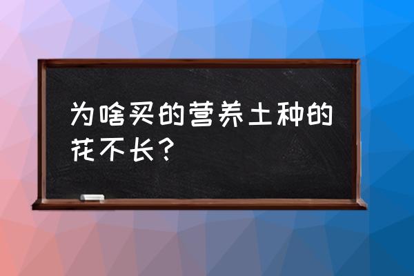 如何换花盆不让土散开 为啥买的营养土种的花不长？