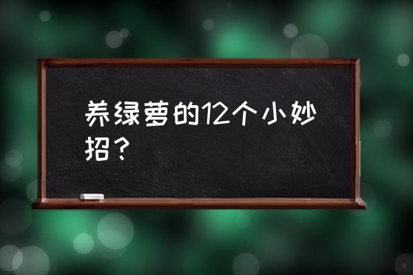 绿萝用什么浇水长得又好又快 养绿萝的12个小妙招？