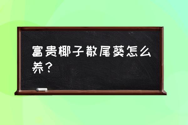 散尾葵用什么肥料 富贵椰子散尾葵怎么养？