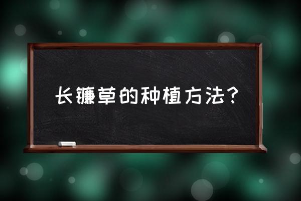 垂盆草家庭养殖方法和注意事项 长镰草的种植方法？