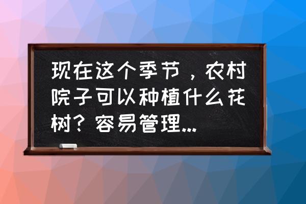 露天小院子怎么种花 现在这个季节，农村院子可以种植什么花树？容易管理的有哪些？