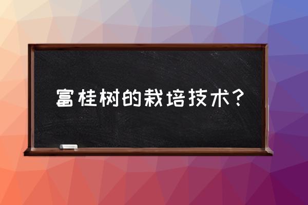 富贵树怎么养才能长得快又茂盛 富桂树的栽培技术？