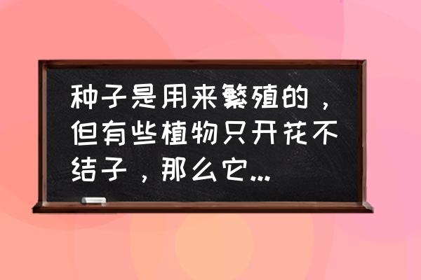 花卉种子繁殖方法 种子是用来繁殖的，但有些植物只开花不结子，那么它开花的目的是什么呢？