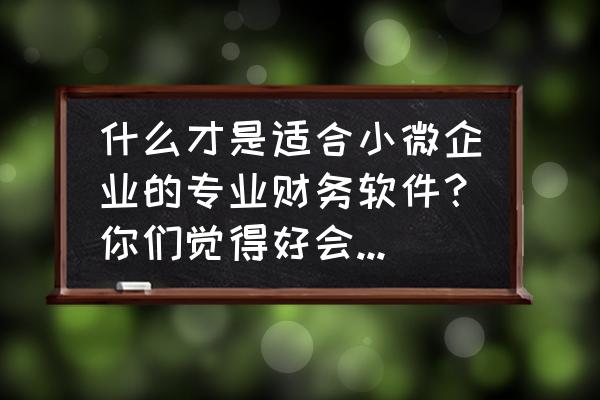 中小微企业财务软件应该怎么选择 什么才是适合小微企业的专业财务软件？你们觉得好会计怎么样？