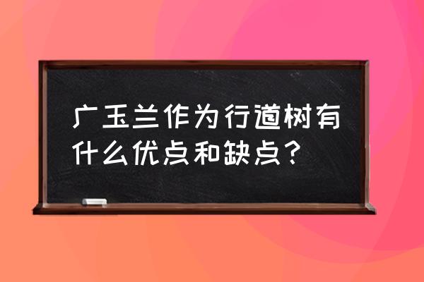 广玉兰栽植的最佳时间 广玉兰作为行道树有什么优点和缺点？