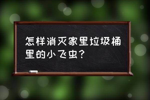 去除小飞虫最有效方法 怎样消灭家里垃圾桶里的小飞虫？