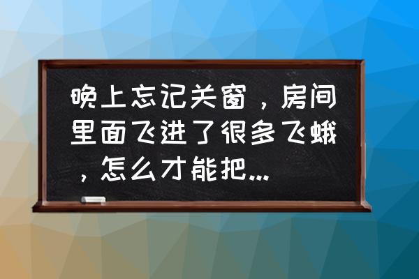 房间里飞蛾多有什么方法彻底清除 晚上忘记关窗，房间里面飞进了很多飞蛾，怎么才能把它们赶出去？