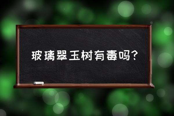 玉树对人有什么好处和坏处 玻璃翠玉树有毒吗？