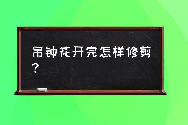 吊钟型最好的花 吊钟花开完怎样修剪？